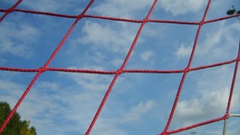 goal net