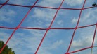 goal net