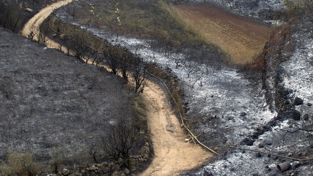 Burnt fields caused by wildfires are seen in El Tanque