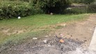 Scene of last night's accident