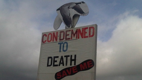 sign