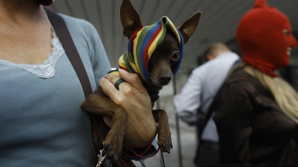 An activist wearing a mask in support of Pussy Riot holds a dog during a protest rally in front of the Russian Embassy, in Warsaw