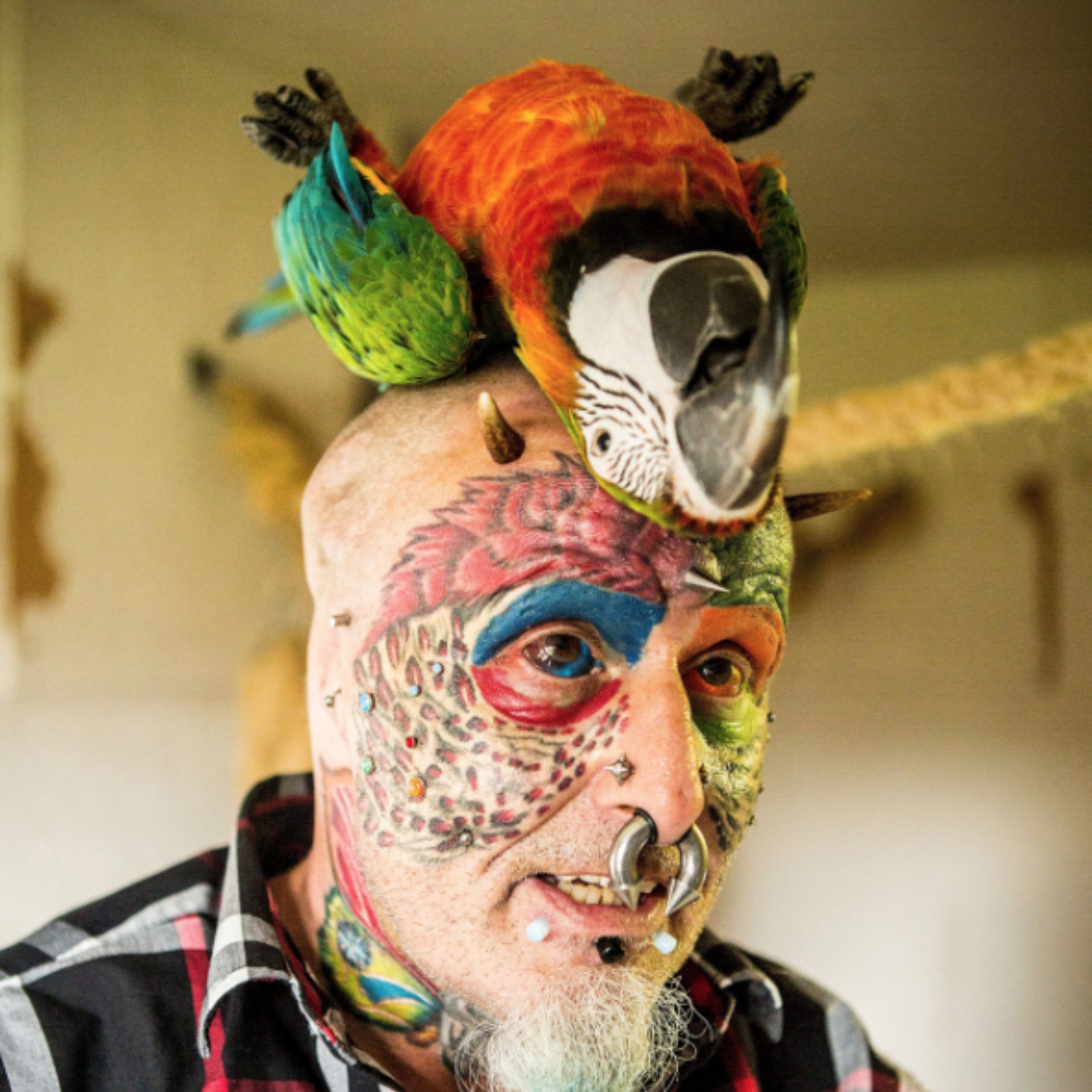 man horrifies surgeons by having his ears cut off to look man horrifies surgeons by having his ears cut off to look