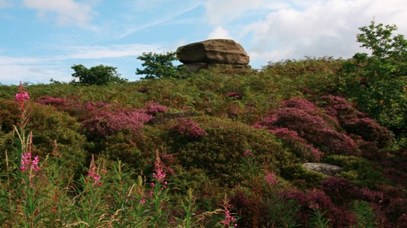Sun in Derbyshire