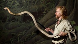 Mark O'Shea is a reptile expert and has handled many snakes before
