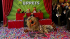 The Muppets celebrate receiving a star on the Hollywood Walk of Fame