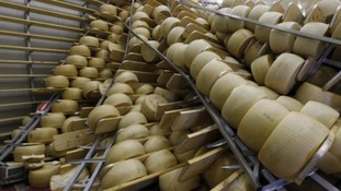 Overturned shelves with Parmesan wheels in a Parmesan cheese factory in Persiceto