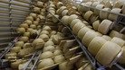 Overturned shelves with Parmesan wheels in a Parmesan cheese factory in Persiceto