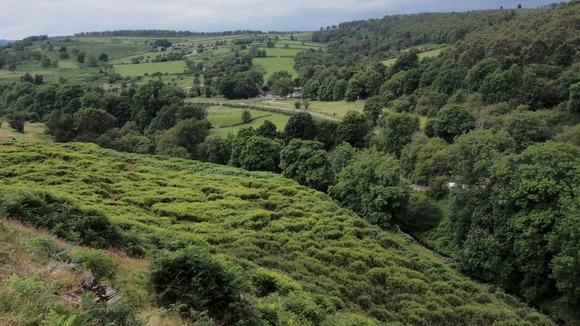 Chatsworth Estate, Derbyshire