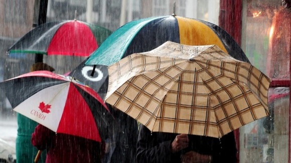 umbrellas