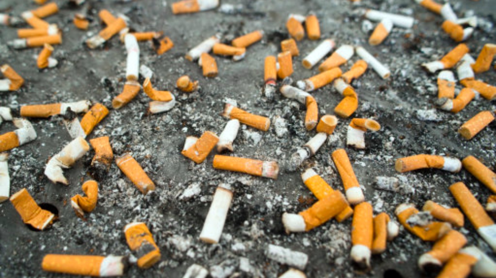 Smoking litter 'on the rise' in Wales Wales ITV News