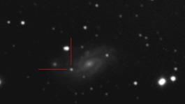 The second "supernova'' exploding star discovered in less than two years by amateur astronomer Dave Grennan