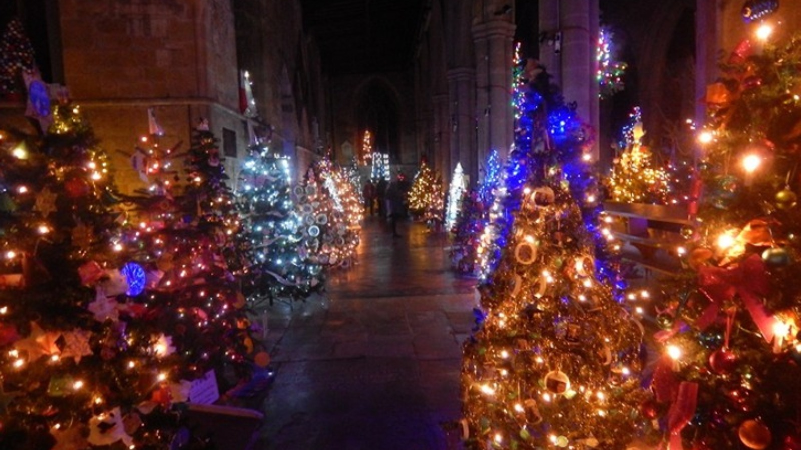 more than 1200 christmas trees at a leicestershire church more than 1200 christmas trees at a leicestershire church