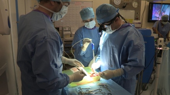 Surgeons prepare for a kidney transplant operation