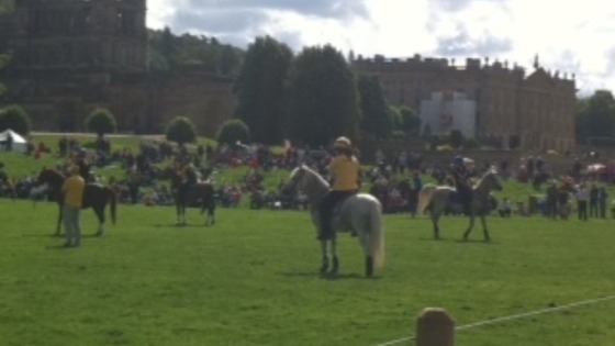 Equestrian events