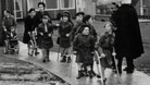 Thalidomide apology