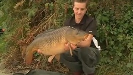 Carp in hand