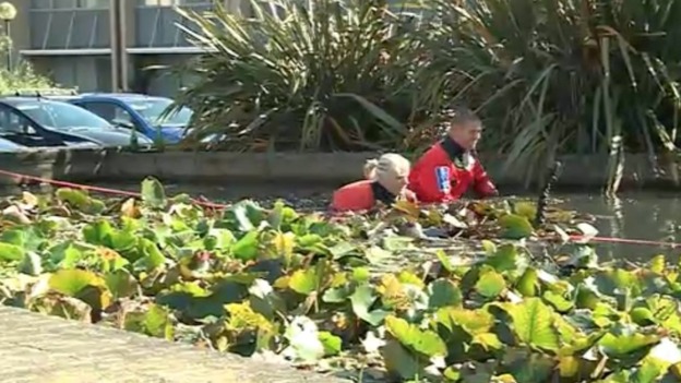 ornamental lily ponds at Ocean Village