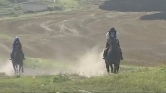 Racehorses