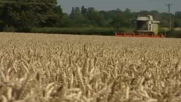 Combine harvester in a field