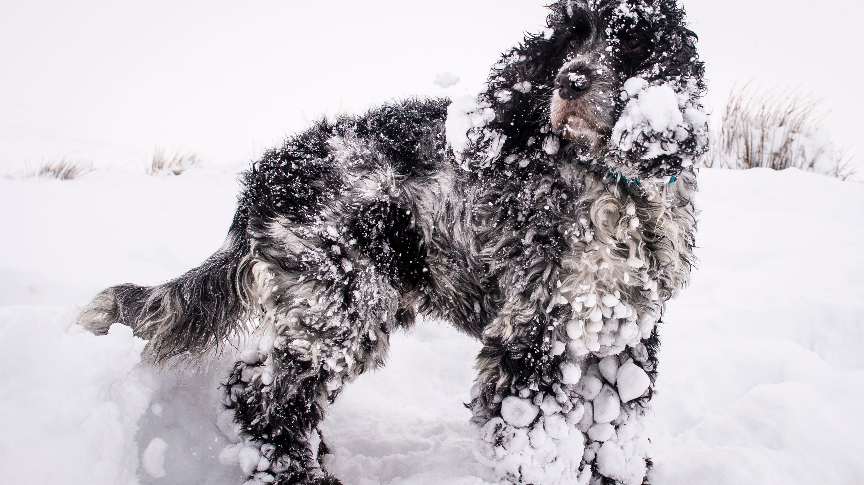 will-you-see-snow-today-itv-news