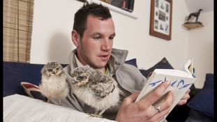 Longleat keeper Jimmy Robinson and two burrowing owlets