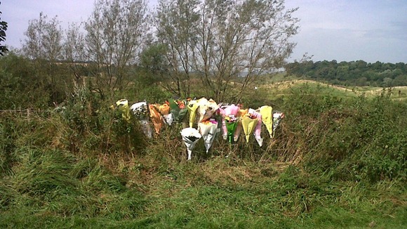 Flowers on river bank