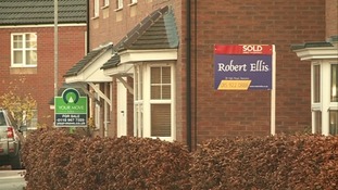 Houses for sale