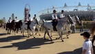 Mounted police officers ride past the Olympic stadium in the Olympic Park, during the Paralympic Games in London.