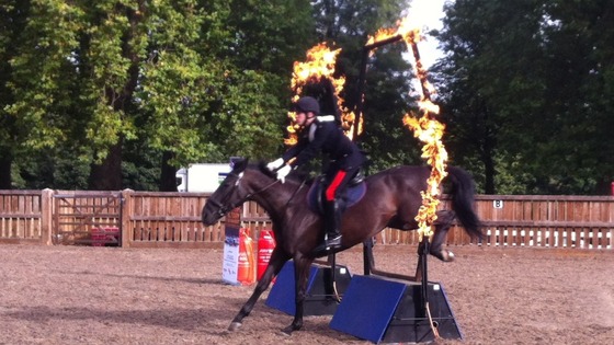 A horse jumps through a flaming hoop.