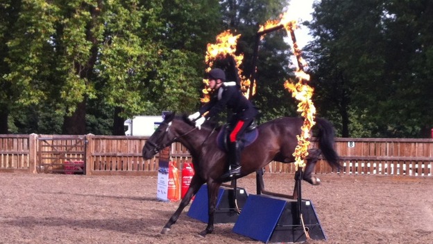 A horse jumps through a flaming hoop.