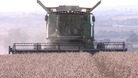 A combine harvester at work in Stratford