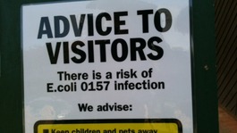 Children infected with e.coli
