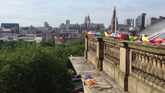 Two hundred colourful pigeons on the roof of the Walker Art Gallery