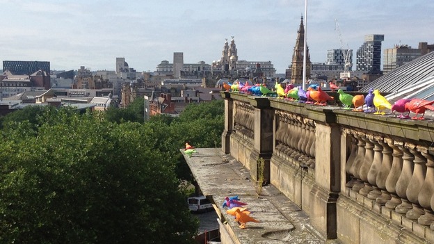 Two hundred colourful pigeons on the roof of the Walker Art Gallery