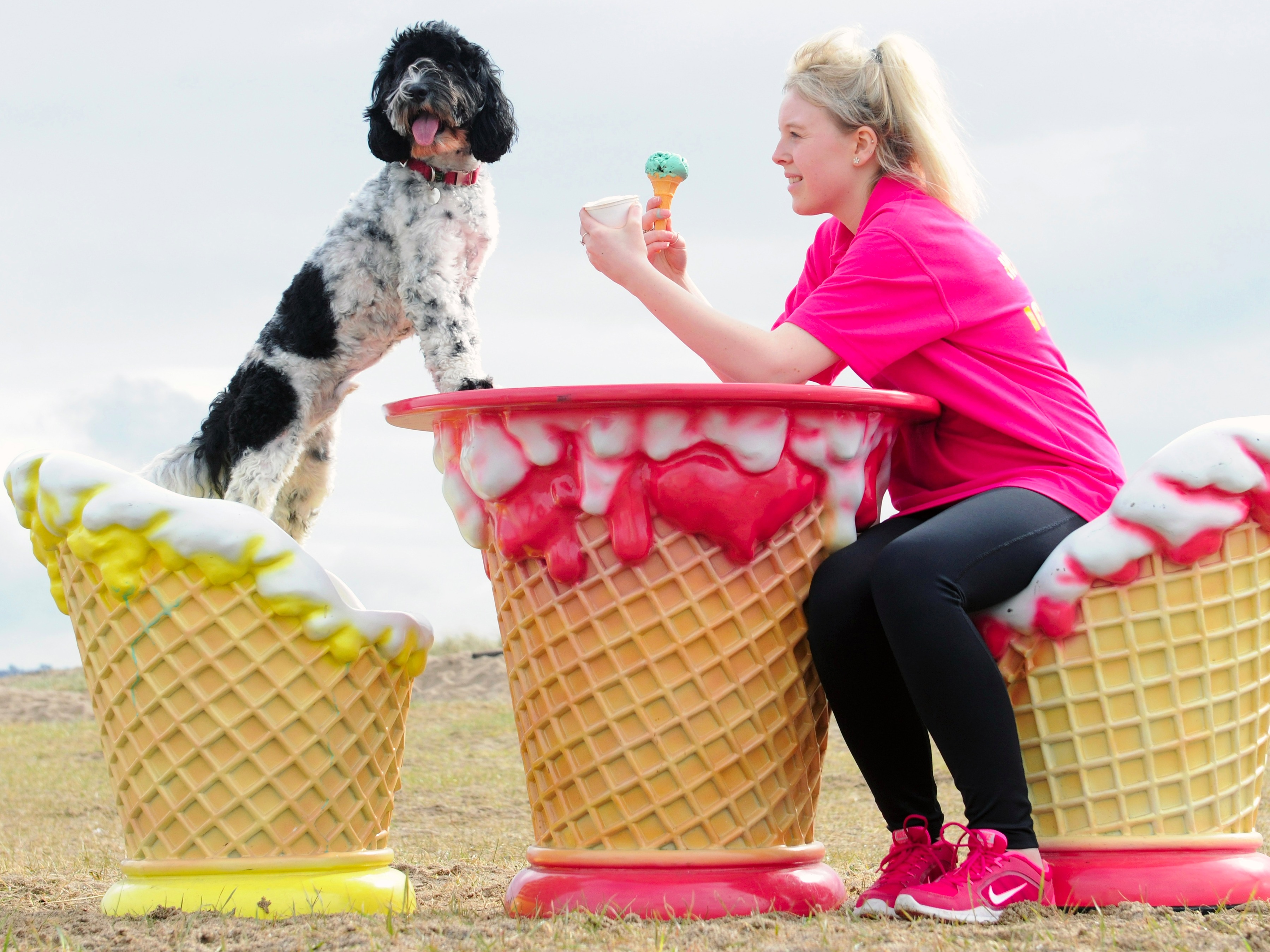 Give the dog a cone! The ice cream kiosk serving walkers and their pets