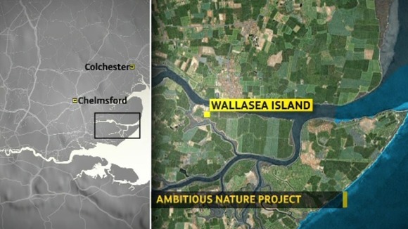 Map of Wallasea Island