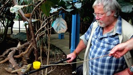 Bill Oddie tweet Twitter