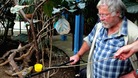 Bill Oddie tweet Twitter