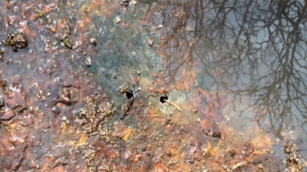 Sunken barge