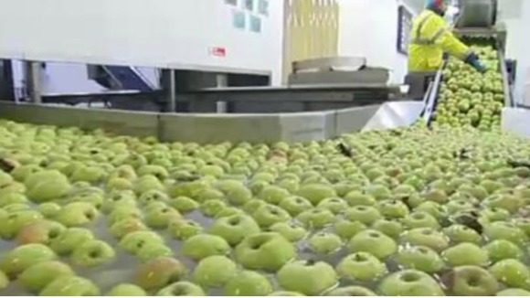 Apples