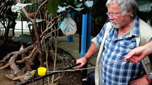 Bill Oddie translating bird call into Tweets at ZSL London Zoo.