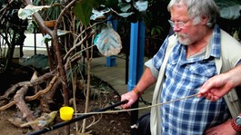 Bill Oddie translating bird call into Tweets at ZSL London Zoo.
