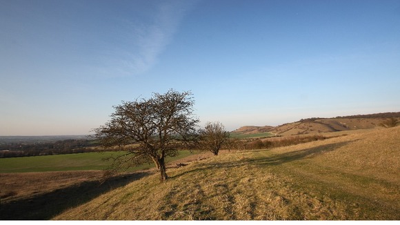 The Chilterns near Ivinghoe Beacon