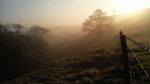 Mist at Elslack Skipton