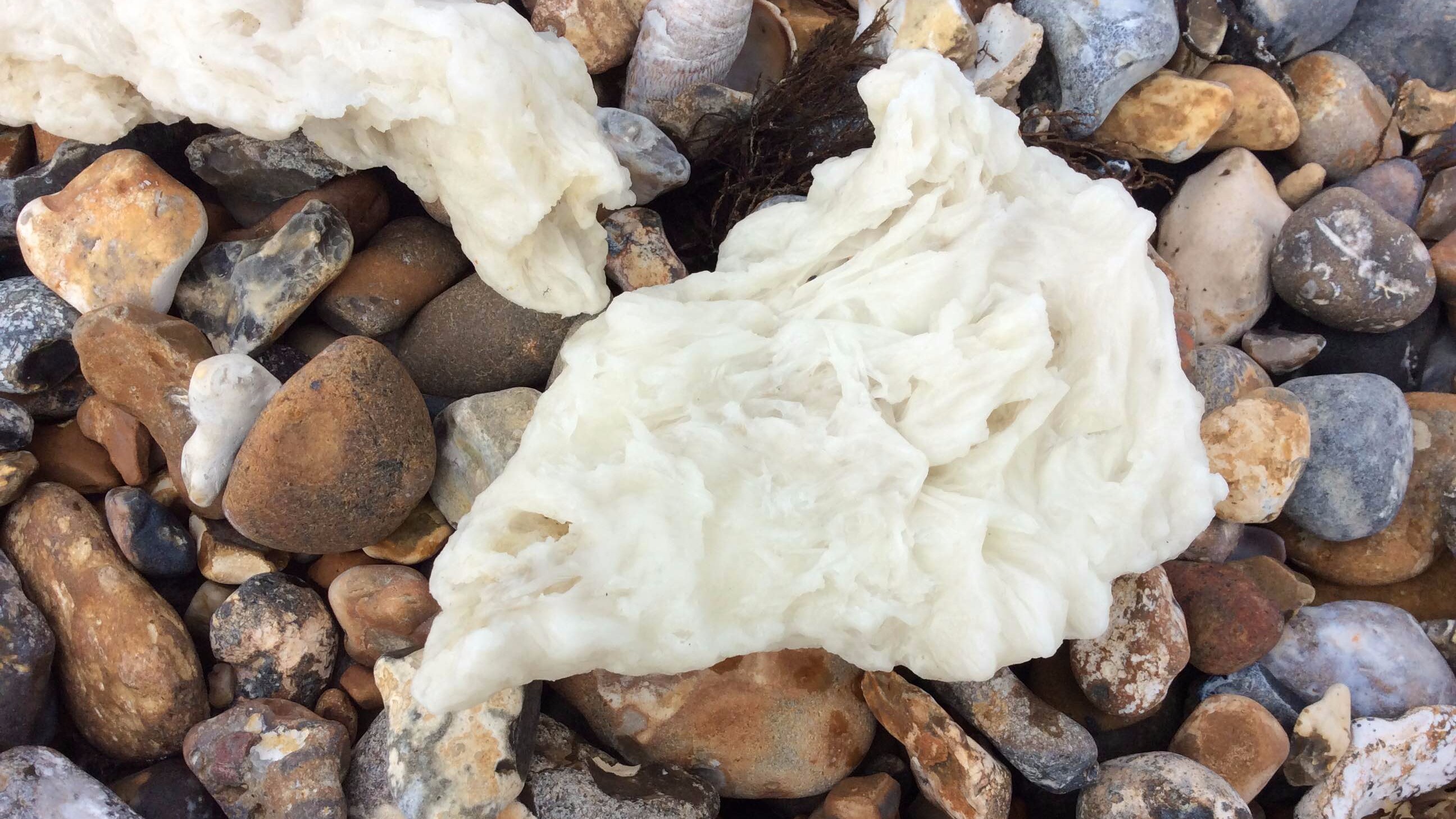 Warning for dog owners after waxy substance appears on Sussex beaches