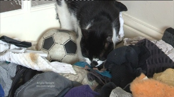 Dennis the menace with his hoard