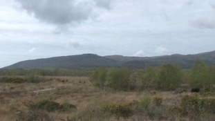 Dyfi Nature Reserve in Ceredigion