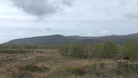 Dyfi Nature Reserve in Ceredigion