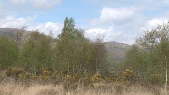 Dyfi Nature Reserve